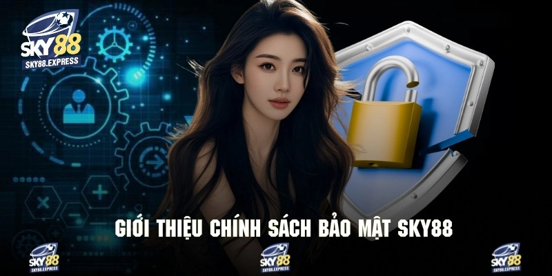 Tổng quan thông tin về chính sách bảo mật cho người chơi
